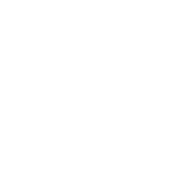 bank 88 256